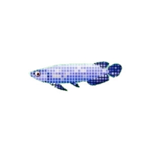 Mosaic Arowana